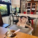 제주 살레 이미지