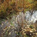 도봉-도봉-2011 이미지