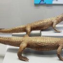 부산해양자연사박물관 이미지