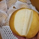 한아름청과 - 안양시 동안구 경수대로556번길 14 | 한아름청과