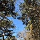 연세대학교 연합신학대학원 이미지