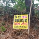 싱그런협동조합 이미지
