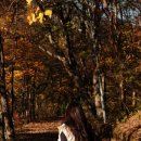 뱀사골야영장 | 지리산 뱀사골 1야영장 단풍 명당 / 1번 사이트 캠핑 후기