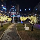 도림천 산책로4 이미지