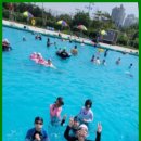 동광태권도 이미지