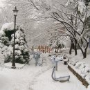 산골어린이공원 이미지