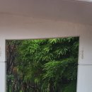 공원플라워 이미지