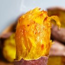 도사리 여주 꿀 농장 | 여주능서농원 꿀고구마 호풍미 3kg 달콤한 후기