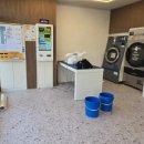 유리세탁소 이미지