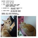 정릉파출소 이미지