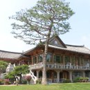 한상돌상한상 이미지
