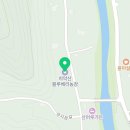 시정농장 | 블루베리농장 치악산블루베리농장 딸기체험 끝! 블루베리농장체험 비용 예약 위치 후기
