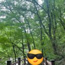 포항농업협동조합서부지점 | [포항 여행] 내연산 등산부터 오도리 해변 수영, 바비큐, 바닷가카페까지! 1박2일 코스추천