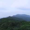 칠선농산물 Daum카페