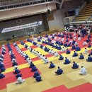 공명유도주짓수 이미지