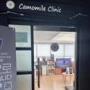 카모마일의원 이미지
