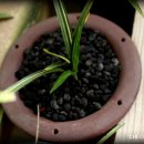 진성산전 이미지