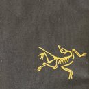 M백화점 | 아크테릭스 긴팔 면티 Kragg Cotton LS M 24K Black XL 내돈내산 후기 ATPFM09714 사이즈 백화점 구매 리뷰