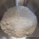 콩알Ⅱ