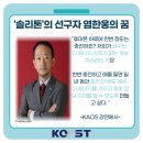 솔리톤 이미지