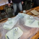 고하농장 | [제주] 귤따멍농장 귤청만들기 체험 후기