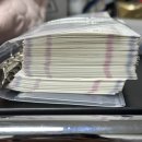 JH트레이딩 | [극독주의] 독버섯 재배 일지