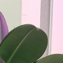 시흥내과의원 이미지