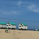 비치화이트애견펜션 이미지