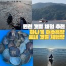 인천 갯벌 바다 추천 | 무의도 하나개 해수욕장 주차부터 포내갯벌체험장까지 총정리