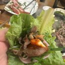 낭낭오리 이미지