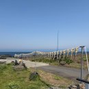 제주토끼 | 제주 구좌 맛집｜돌담위에토끼 솔직 후기