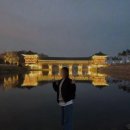 경주여행 기록(강아지 동반)