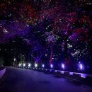 수봉공원(현충탑) | 인천 가볼만한곳 추천