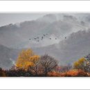 윤순영 이미지