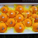 지윤농장 이미지