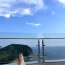 레지나 | 내돈내산 거제도 가족여행 1박 2일 숙소 추천! 오션뷰 야외 수영장 파티레지나풀빌라 후기