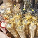 세사리빙 파주운정점 | 모던하우스 크리스마스 접시 쿠션 오너먼트 총집합 (파주 스타필드 운정점)