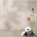 제니헤어 이미지