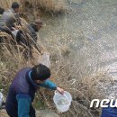 희곡천 뉴스1