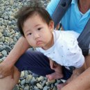 농소몽돌펜션 이미지