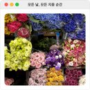 [양재 꽃시장]셀프 부케 재료 구하기 (가격 및 꽃 종류 공유)