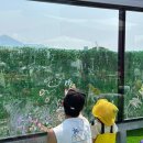 대박이 노리터 이미지