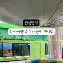 양서·파충류생태공원 아나콘다관 이미지