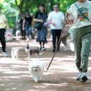 (주)서울동물병원 이미지