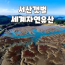 자연유산공인중개사사무소 네이버블로그