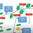 배순농장 이미지