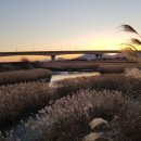 을숙도 생태공원 이미지