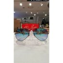 트랜디카 이미지