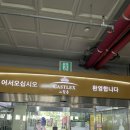 캐슬렉스 이성대 골프연습장 | 서울골프연습장 / 강남골프연습장 / 캐슬렉스이성대 골프연습장 / 내돈내산