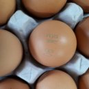 계림유통 이미지